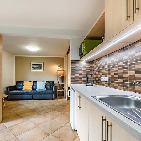 Apartment Vaclavov Decin Exteriér fotografie