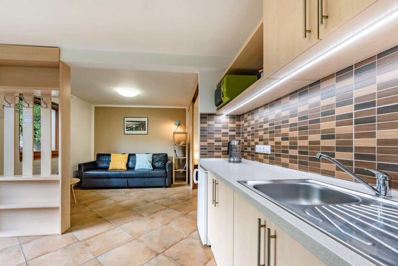 Apartment Vaclavov Decin Exteriér fotografie